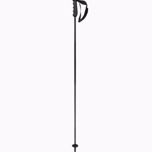 PORSCHE HEAD Carbon Ski Poles